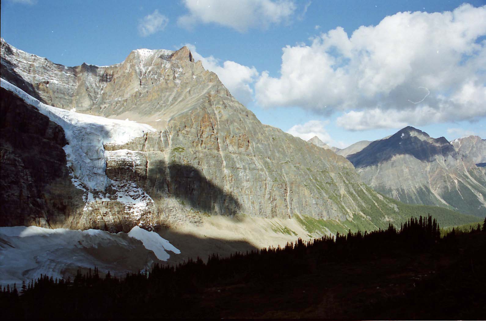 �G�f�B�X�L���x���R