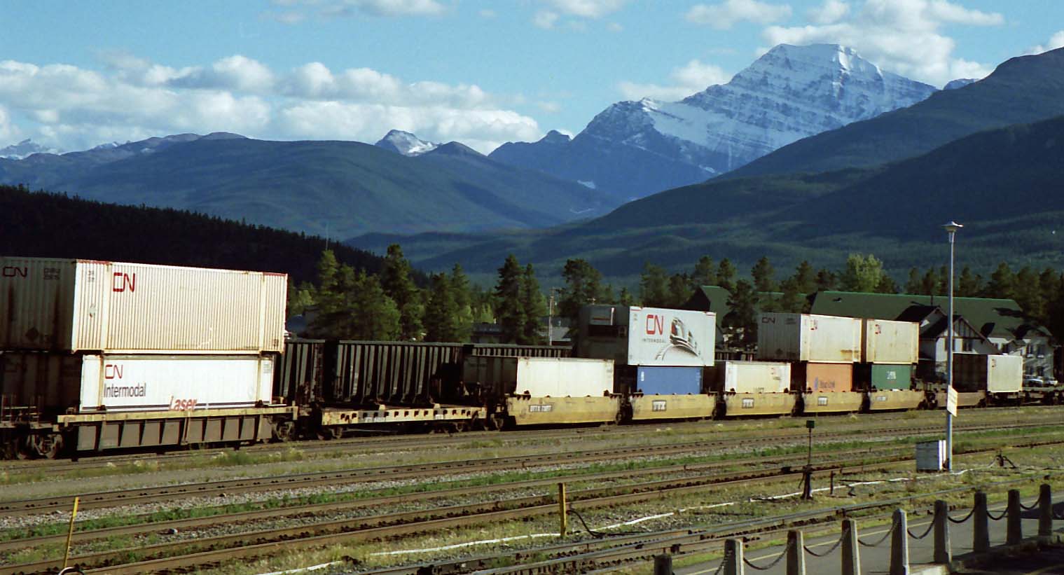 �G�f�B�X�L���x���R