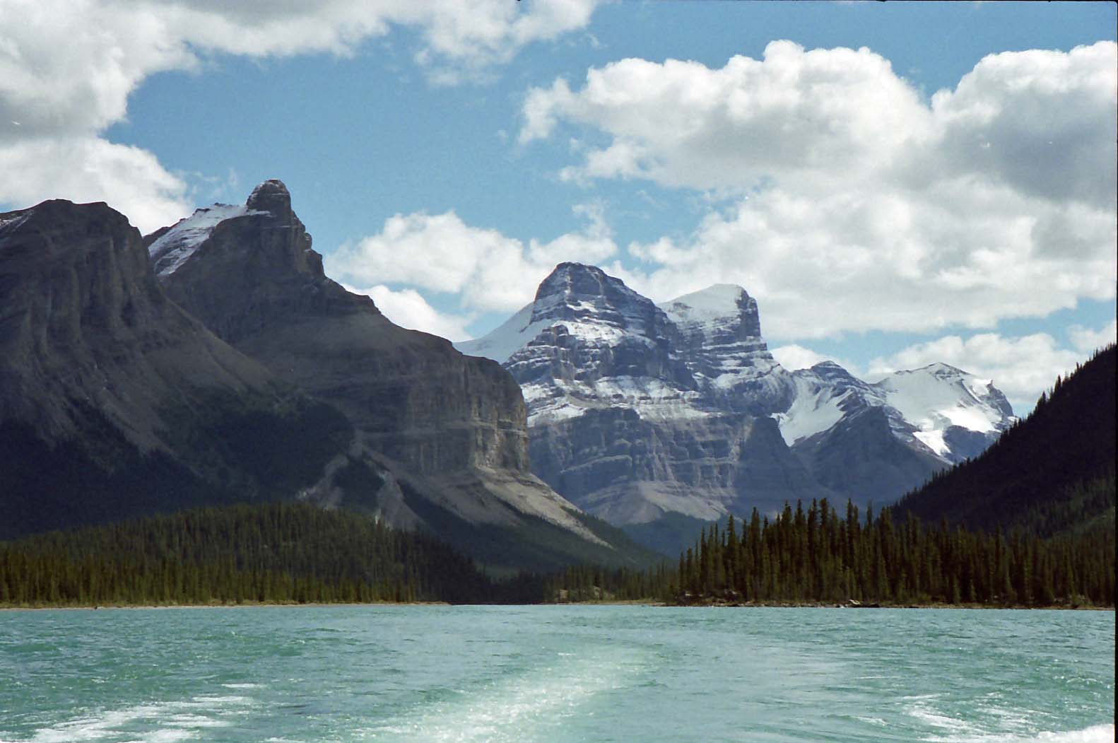 �}���[����