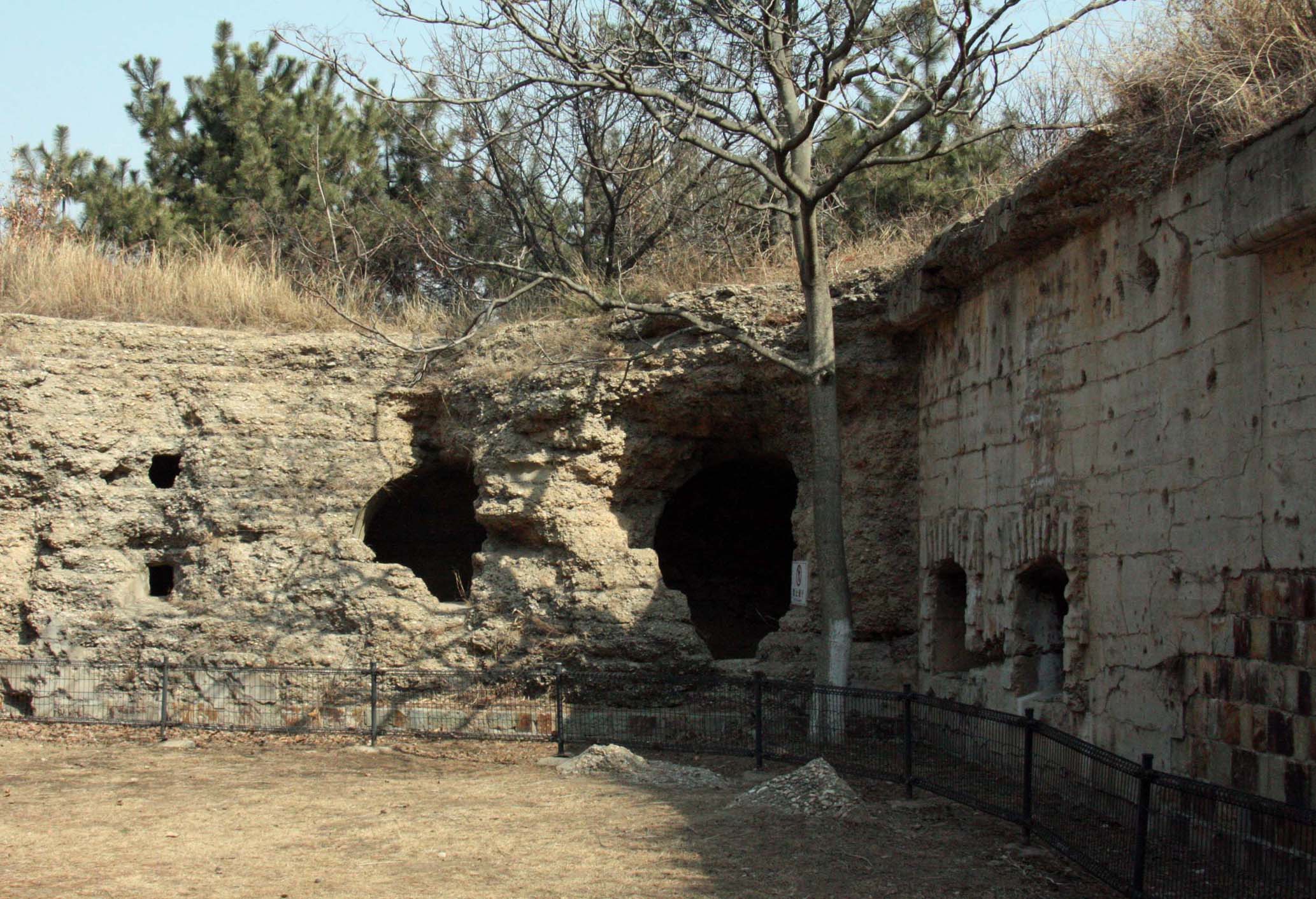 ���{���R�k�Ɨ�