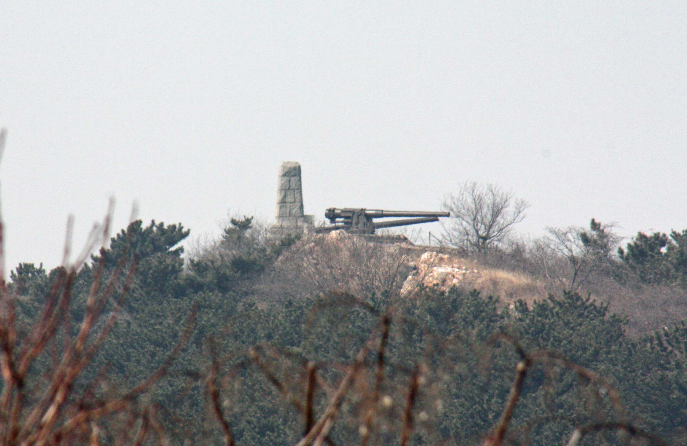 �������{���R