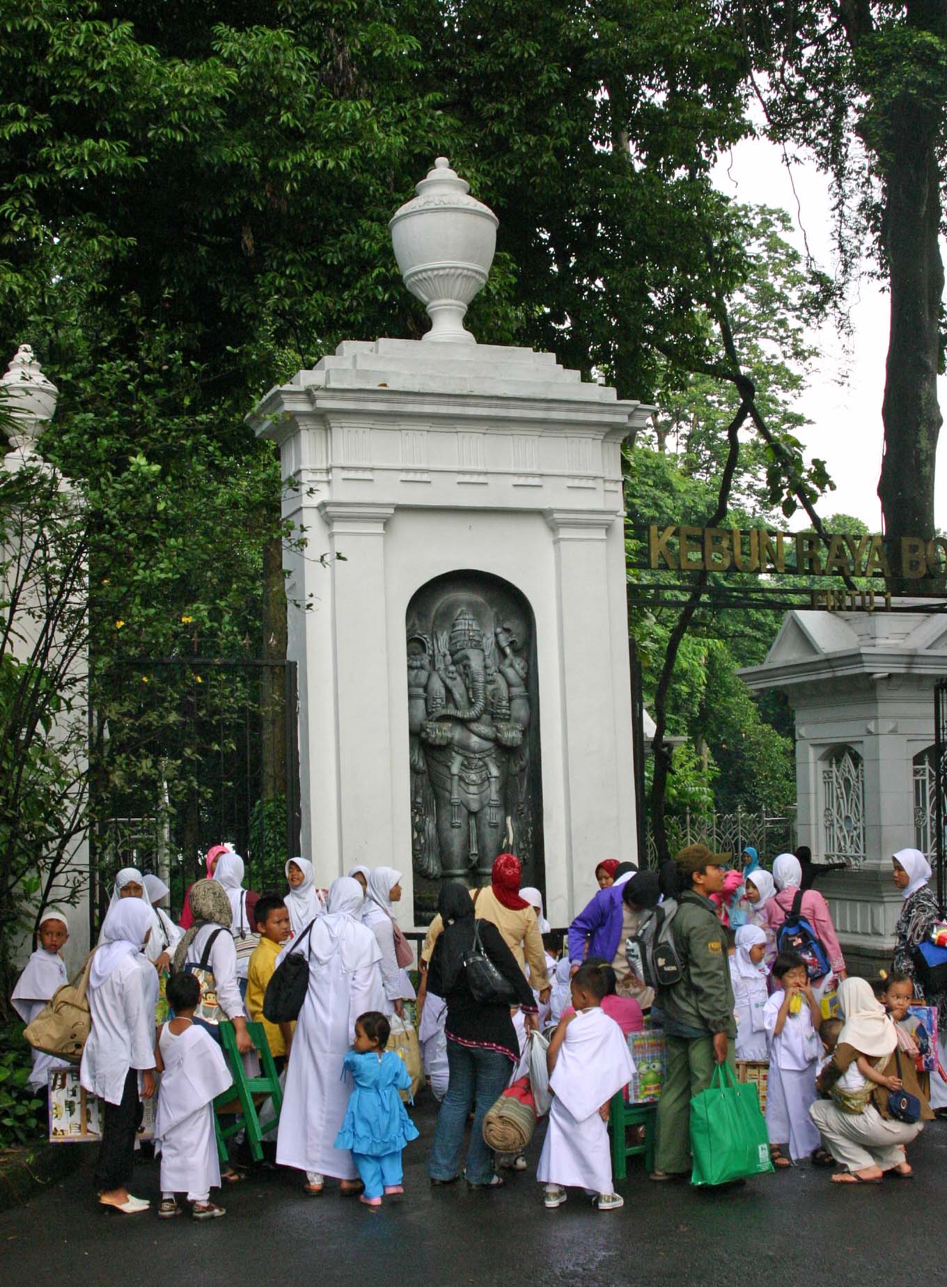 �{�S�[���A�����̖�