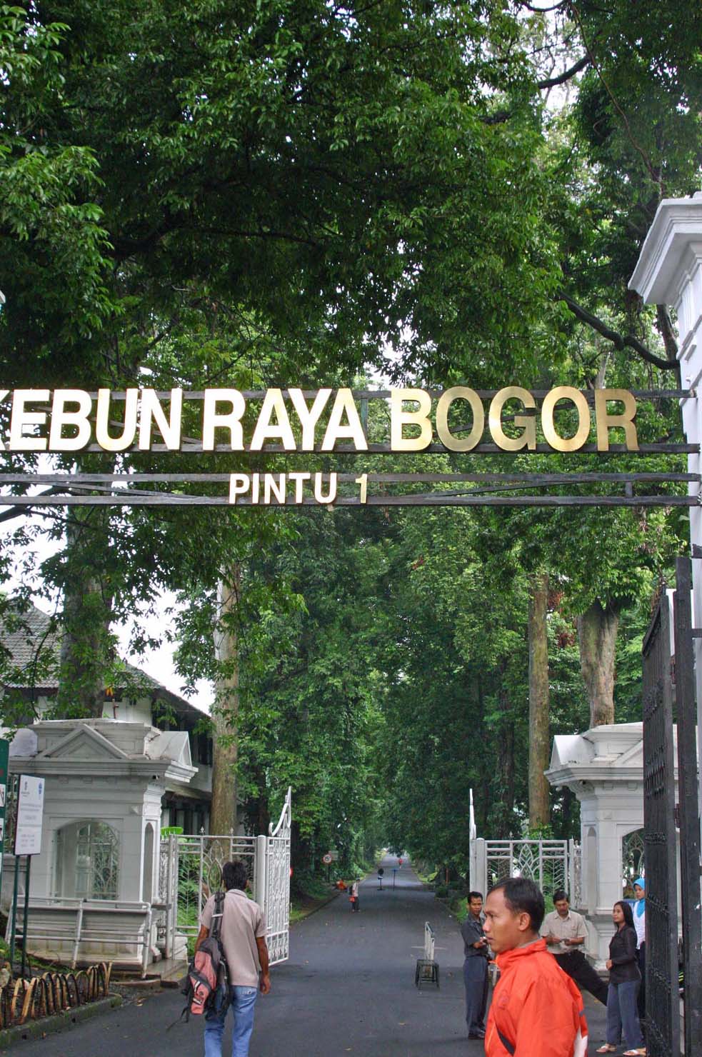 �{�S�[���A��������