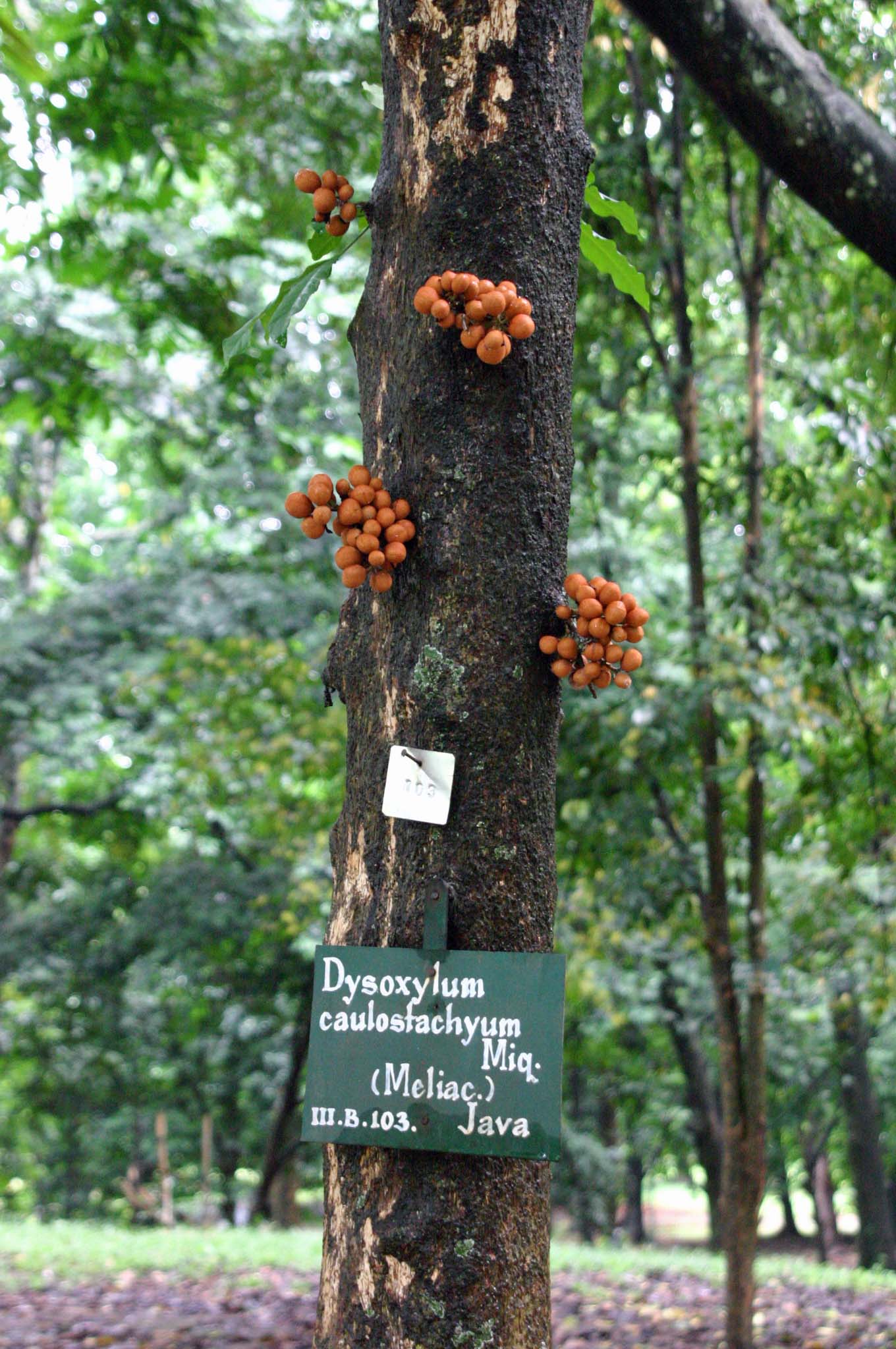 �N�r�i�K�C�`�W�N