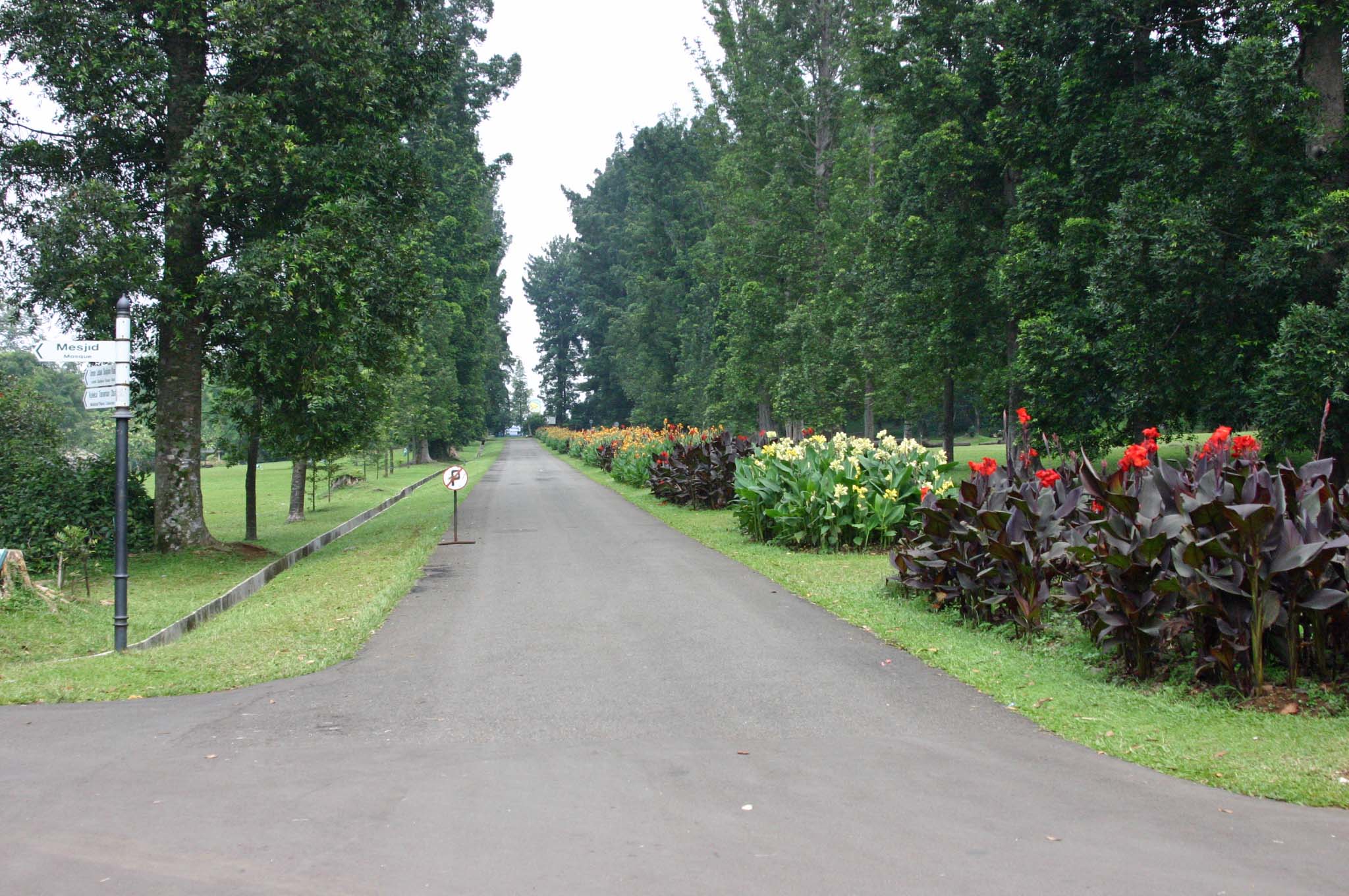 �A�����̒ʂ�