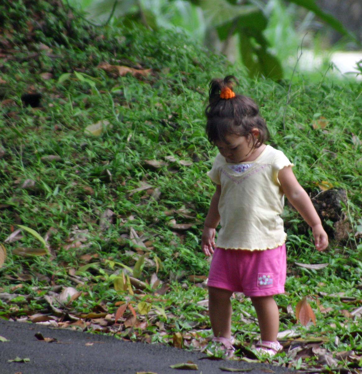 �{�S�[���A�����ŉ�����l�X