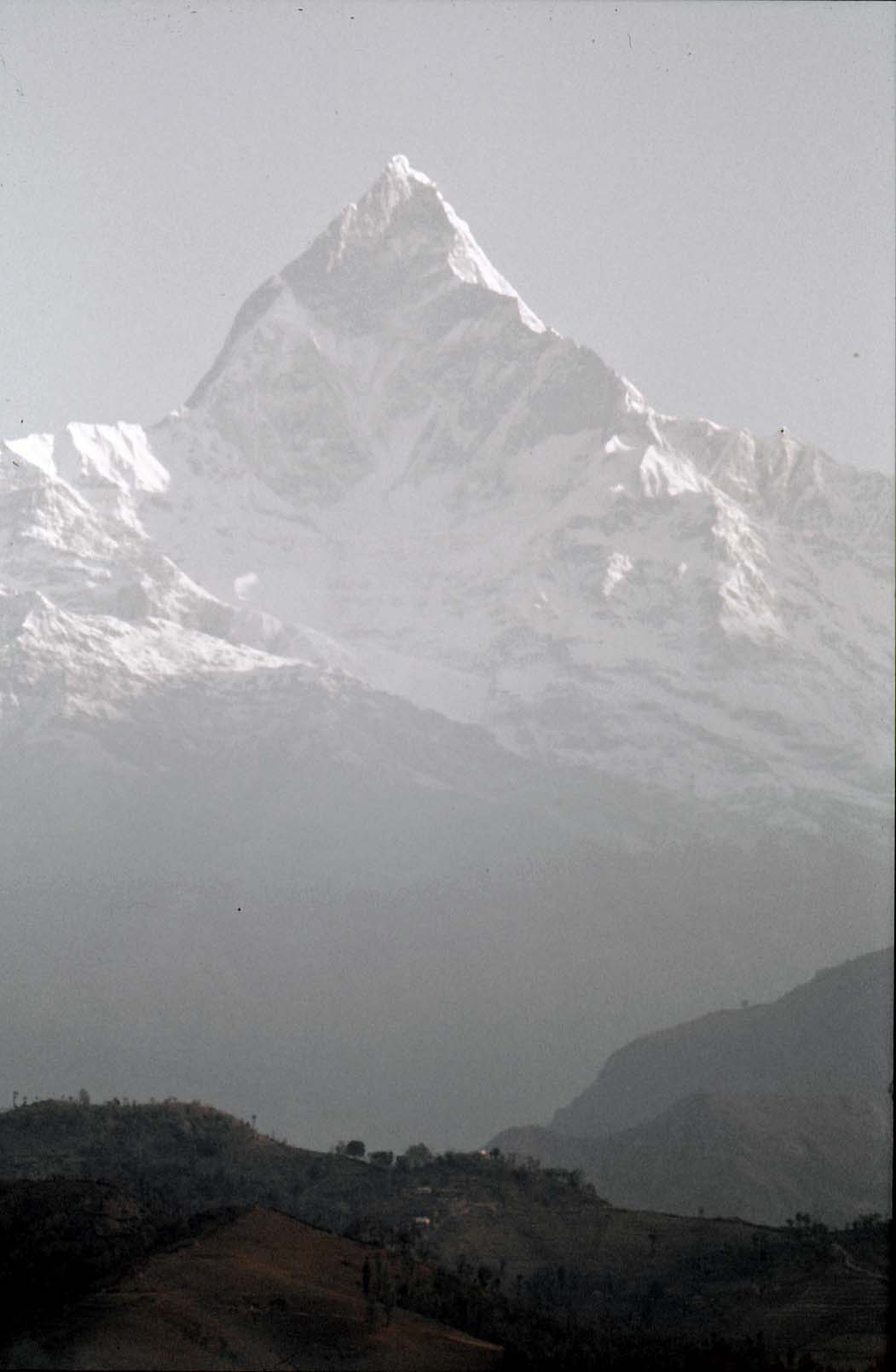 �}�`���v�`����