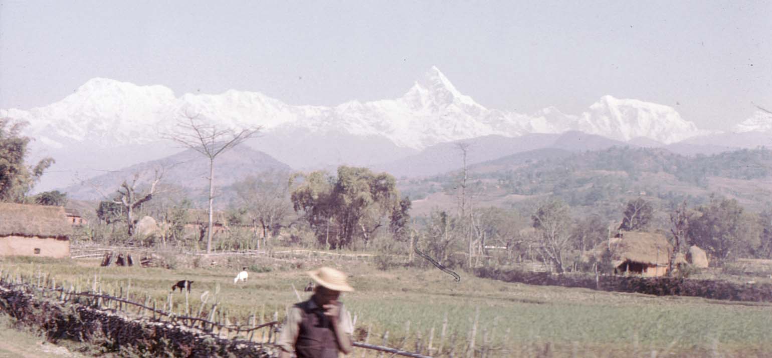 �}�`���v�`�����ƃA���A�v���i���