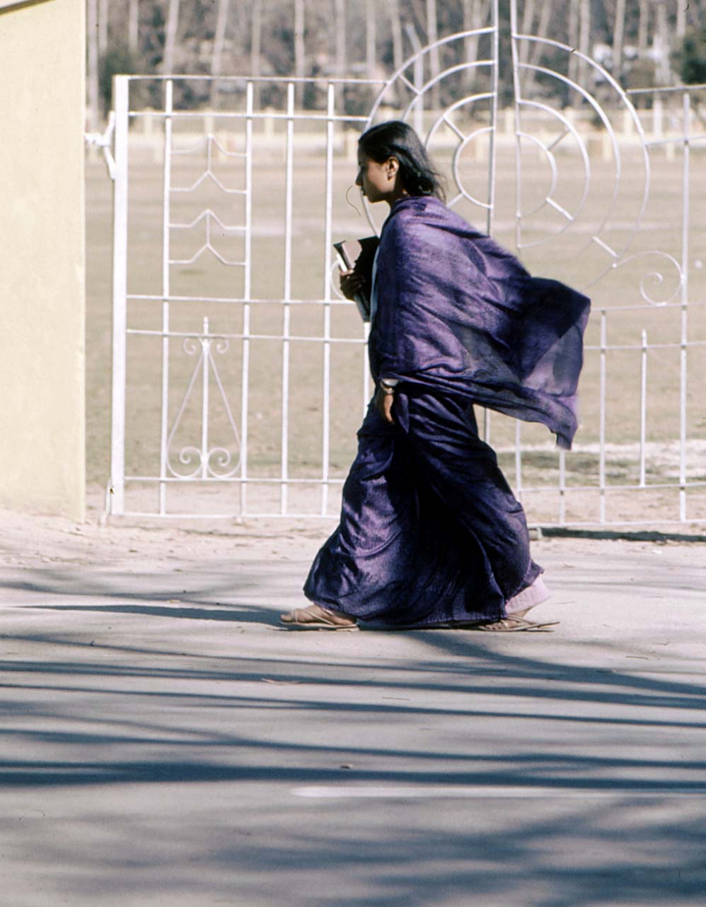 �p�g�T���h�D���K���@