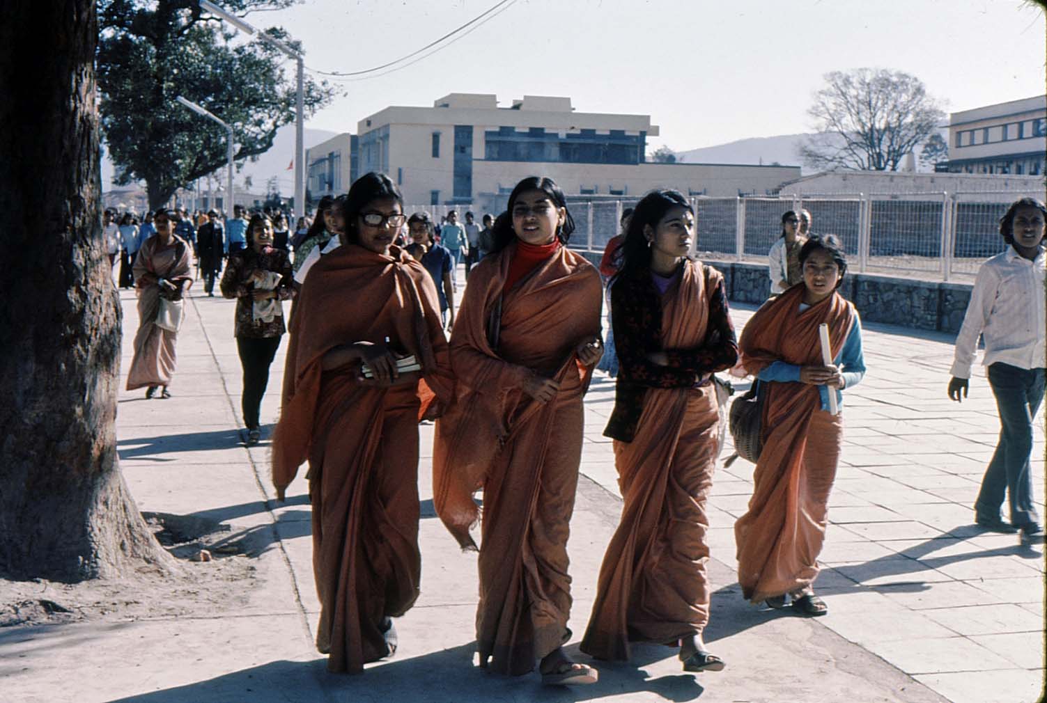 ���@�̏���