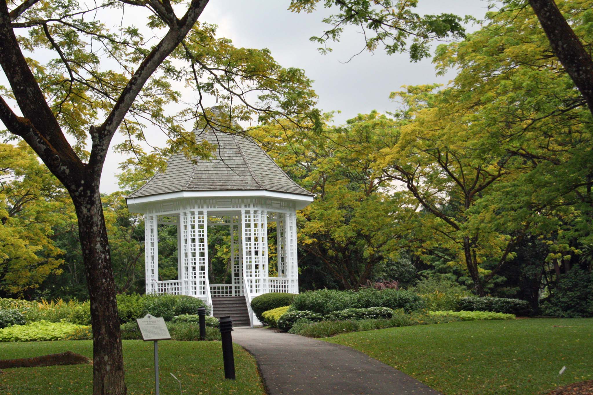 ���C���c���[�̃p�[�S��